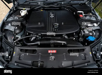 C 250
